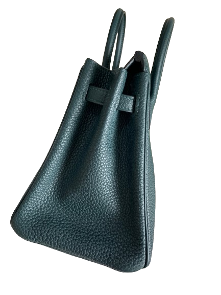 Hermes Birkin 25 Vert Cypress Togo GHW Stamp U
